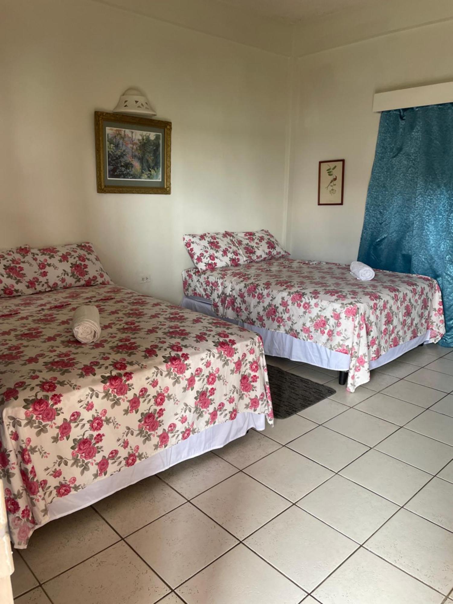 The Seaside Garden Guesthouse Buccoo Экстерьер фото